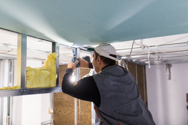 Trusted Christopher, IL Insulation Contractor Experts