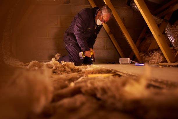 Best Cellulose Insulation in Christopher, IL