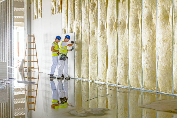 Best Spray Foam Insulation in Christopher, IL